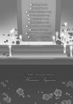 Page 4 of Himeiro Sequence