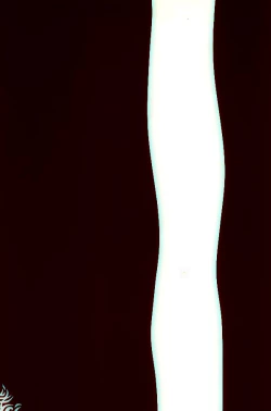 Page 31 of 体育教師の躾方