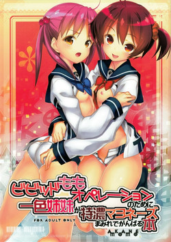 Download Vivid Momo Operation no Tame ni Isshiki Shimai ga Tokunou Mayonnaise-mamire de Ganbaru Hon