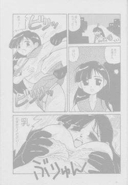 Page 33 of Toorimatic