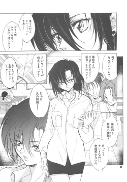 Page 48 of The Great Escape!