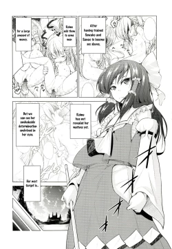 Page 5 of Touhou no hon 2