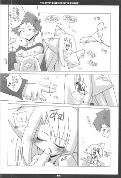 Page 10 of Emiyake Koneko nikki