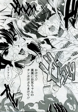 Page 375 of ANGEL Club 2005-09