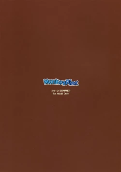 Page 30 of Akazawa Solution I