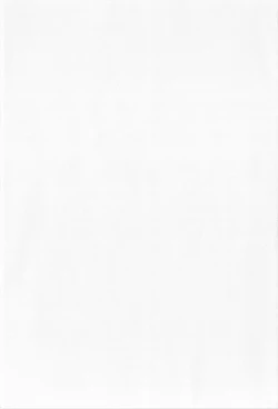 Page 199 of Naka de Dasasete ARu