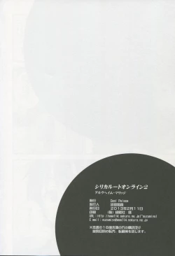 Page 29 of Silica Route Online 2