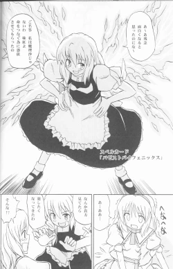 Page 17 of Touhou Youjo Ranbu