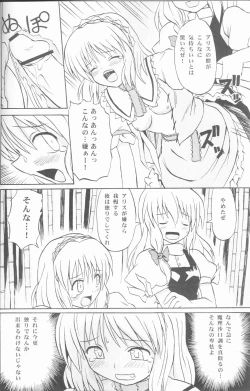 Page 21 of Touhou Youjo Ranbu