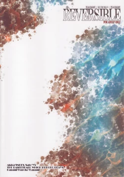 Page 21 of REVERSIBLE