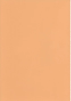 Page 2 of Bloody Romance Nichijou Aruiha Heion na Hi 2