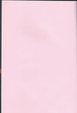 Page 2 of STRAWBERRY ON THE SHORTCAKE