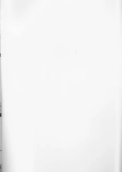 Page 2 of Wizard Sex Change