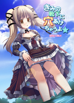 Download Kimi no Kutsushita ni Anaakechau yo