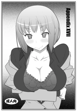 Page 1 of Appendix XVII