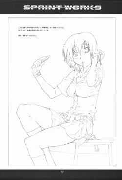 Page 18 of SPRINT WORKS