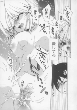 Page 23 of Flower Pillow