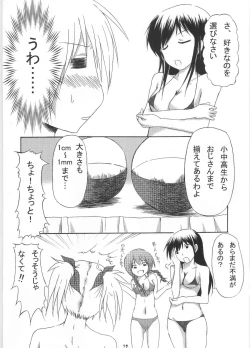 Page 11 of Giga Mite 2