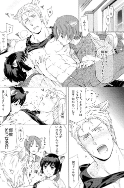 Page 14 of Axis Powers CANIDAE!!!