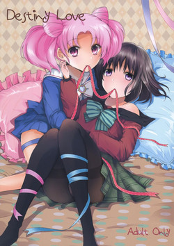 Download Destiny Love