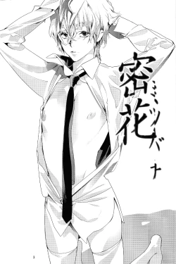 Page 4 of Mitsu Bana