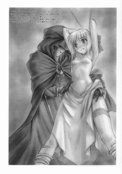 Page 2 of Musou Fate