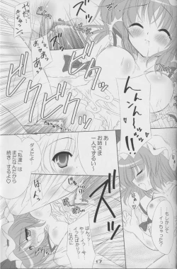 Page 15 of MAKE-UP ROUGE