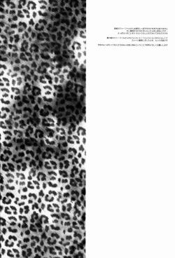 Page 3 of Toranoko @ Night Fever