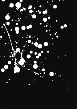 Page 25 of Wall Painting