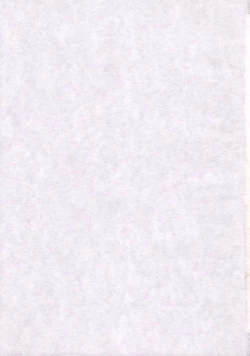 Page 29 of Tomoyo no Koi Sakura no Omoi