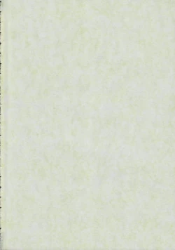 Page 38 of Tomoyo No Triangle Love