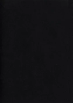 Page 2 of Ichigo Kajuu 1000%