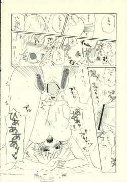 Page 17 of Suparobon