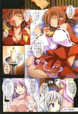 Page 5 of Reimu Suikan