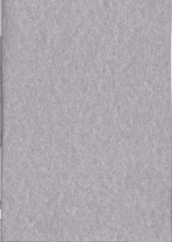 Page 2 of XXX chuchuchu mae