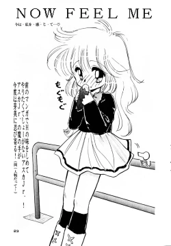 Page 23 of Seiya Saint Night