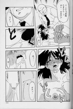 Page 110 of Hiiro no Koku Joukan