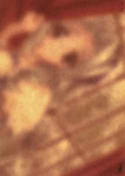 Page 21 of Yami to Boushi to Hon no Tabibito Visual Fanbook