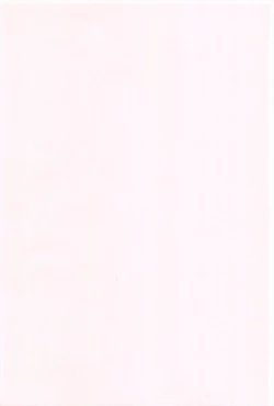 Page 205 of Kusuguttaino…Suki