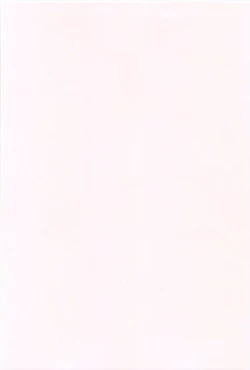 Page 206 of Kusuguttaino…Suki