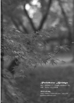 Page 30 of Rainbow Bridge