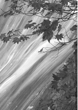 Page 3 of Rainbow Bridge