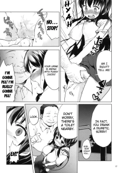 Page 16 of Chiichan's Development Diary 2