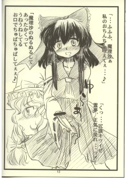 Page 12 of touhou sou nama jijou kai