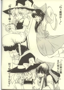 Page 6 of touhou sou nama jijou kai