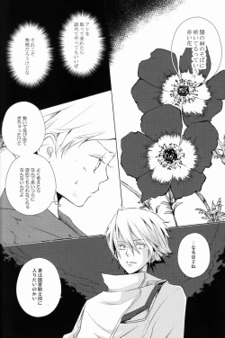 Page 131 of aria reprint 09-12