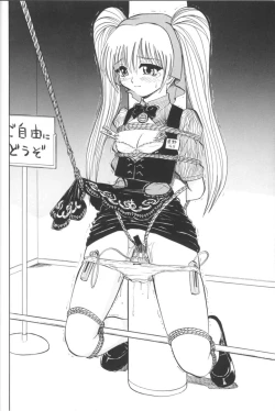 Page 16 of VITAMIN-B5 1/2 Ruri Ruri Naisho no Arbeit Nikki