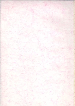 Page 2 of bliss & Bless