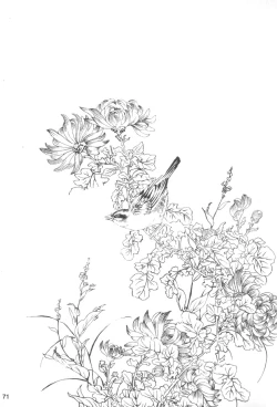 Page 70 of House of Brutes Vol 3