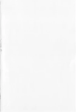 Page 4 of SAYONARA FAIRIES